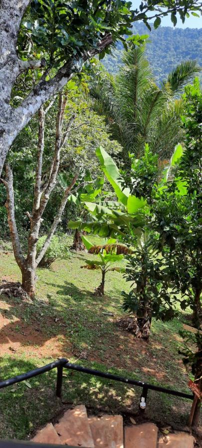 Suites Casinha Do Alto Da Bocaina Сан-Педру-да-Серра Екстер'єр фото
